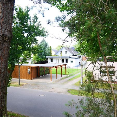 Haus Kleiner Findling Im Lausitzer Seenland Tätzschwitz Extérieur photo