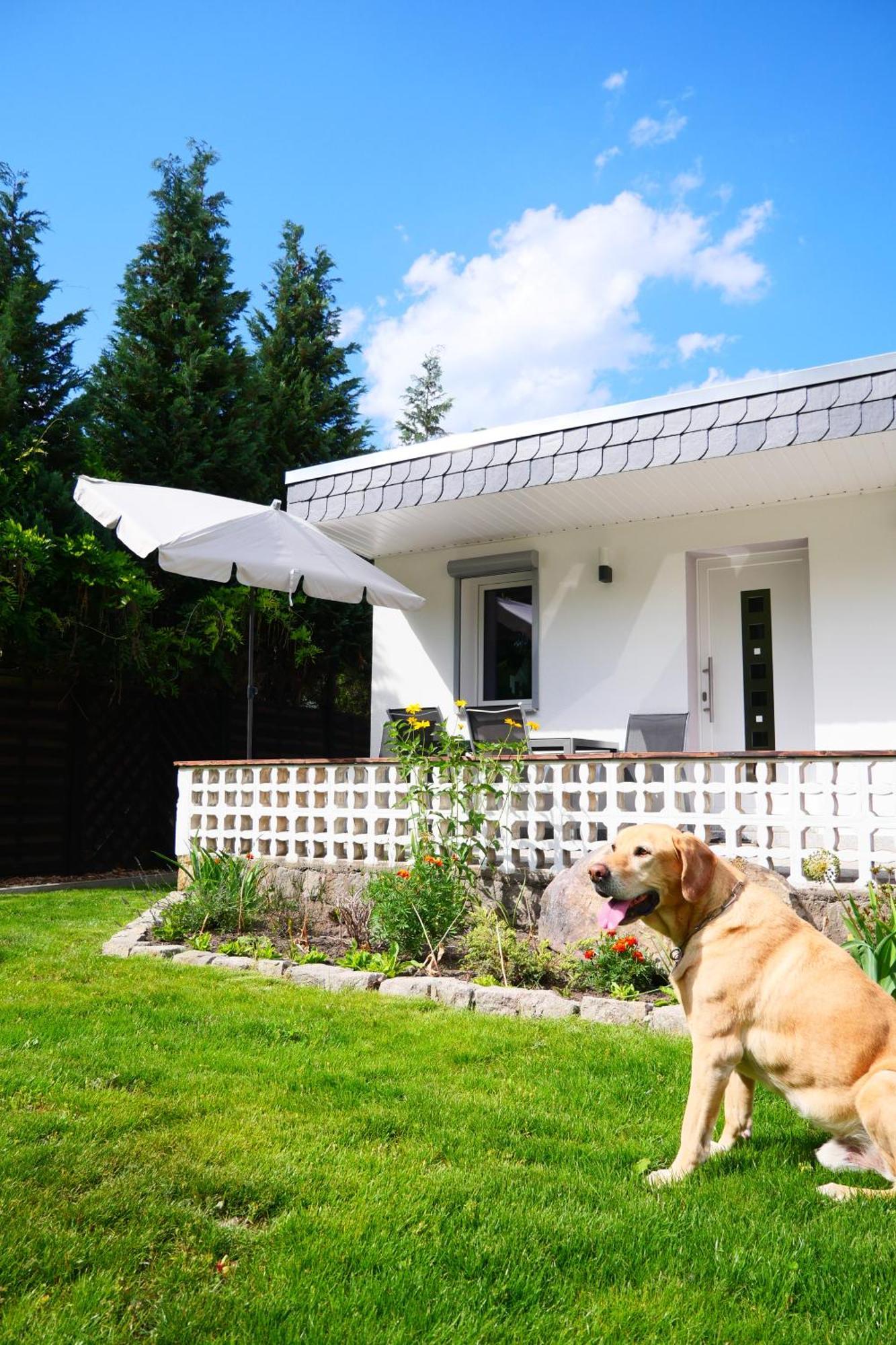 Haus Kleiner Findling Im Lausitzer Seenland Tätzschwitz Extérieur photo
