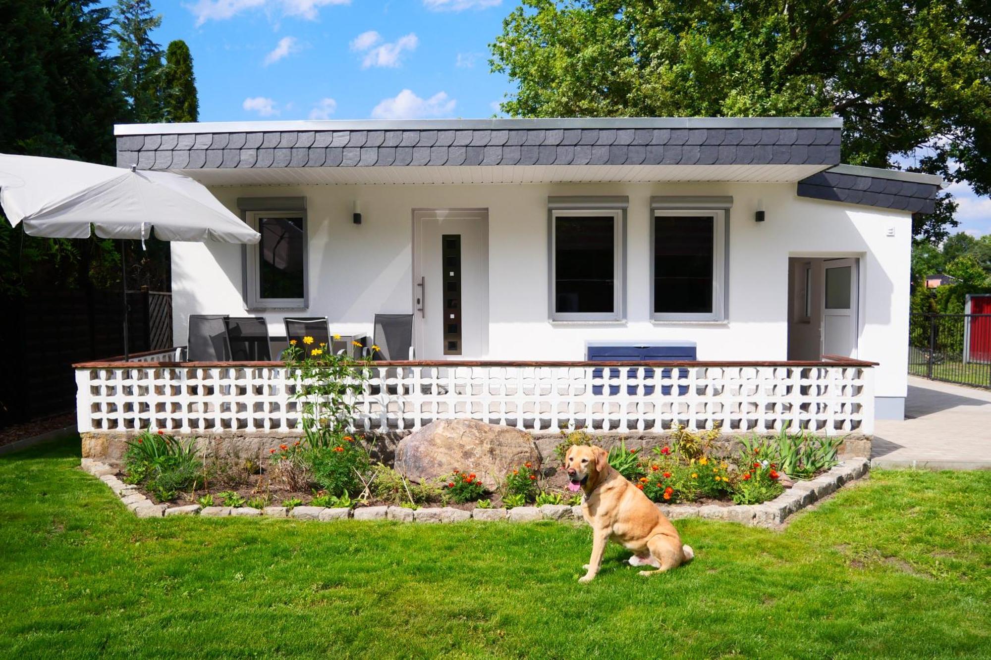 Haus Kleiner Findling Im Lausitzer Seenland Tätzschwitz Extérieur photo